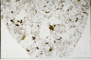 Plane Polarized, S66026