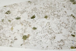 Plane Polarized, S66027