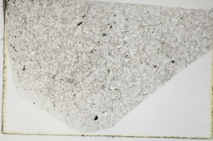 Plane Polarized, S66028