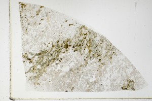 Plane Polarized, S66030