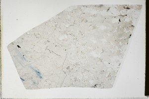 Plane Polarized, S66031