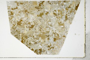 Plane Polarized, S66034