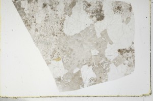 Plane Polarized, S66036