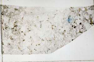 Plane Polarized, S66037