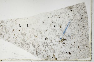 Plane Polarized, S66038/A