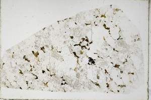 Plane Polarized, S66042