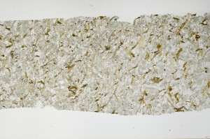 Plane Polarized, S66051