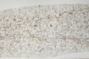 Plane Polarized, S66052