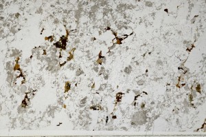 Plane Polarized, S66085