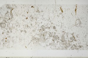 Plane Polarized, S66093