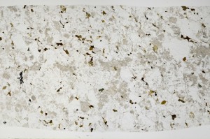 Plane Polarized, S66094