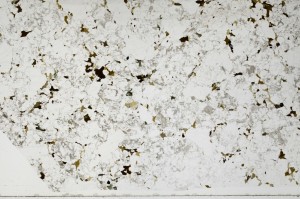 Plane Polarized, S66097