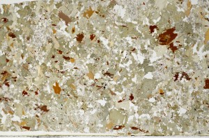 Plane Polarized, S66098