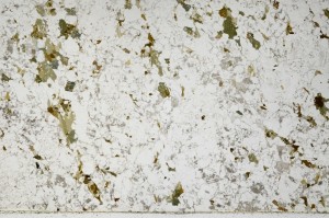 Plane Polarized, S66110