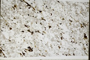 Plane Polarized, S66113