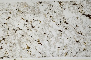 Plane Polarized, S66114