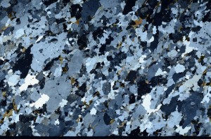 Cross Polarized, S66117