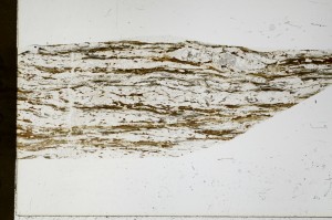 Plane Polarized, S66136