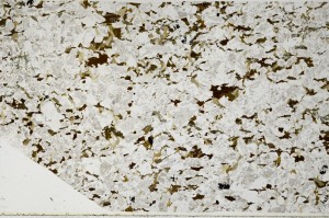 Plane Polarized, S66166