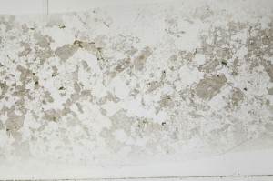 Plane Polarized, S66230