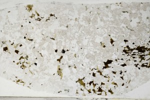Plane Polarized, S67031