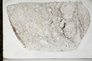 Plane Polarized, S67043