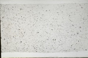 Plane Polarized, S67049