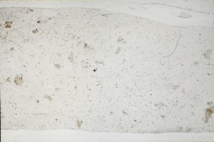 Plane Polarized, S67050