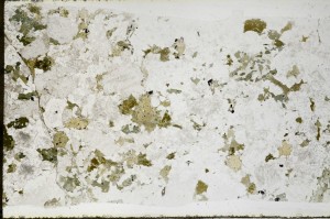 Plane Polarized, S67051