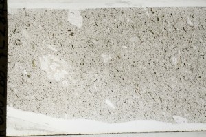 Plane Polarized, S67052