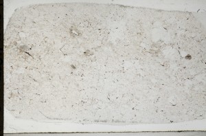 Plane Polarized, S67053