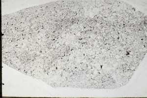 Plane Polarized, S67058