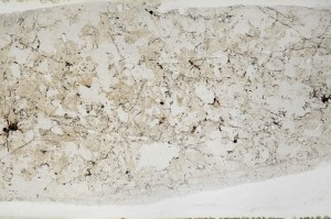 Plane Polarized, S67063