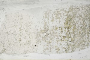 Plane Polarized, S67099