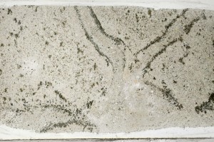 Plane Polarized, S67110