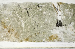Plane Polarized, S67114