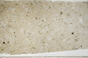 Plane Polarized, S67116