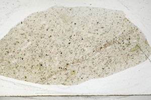 Plane Polarized, S67119