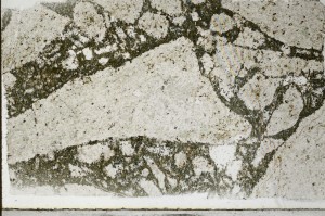 Plane Polarized, S67120