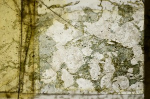 Plane Polarized, S67148