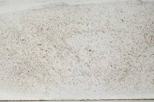 Plane Polarized, S67152