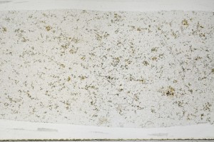 Plane Polarized, S67154