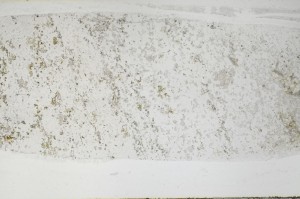Plane Polarized, S67155