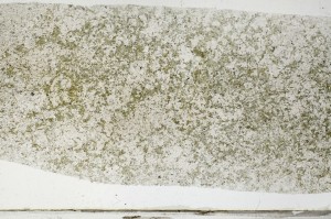 Plane Polarized, S67160