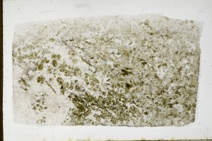 Plane Polarized, S67163