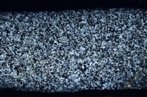 Cross Polarized, S67165