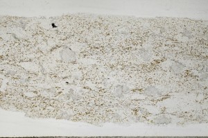 Plane Polarized, S67169