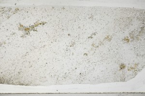 Plane Polarized, S67175