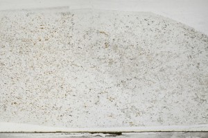 Plane Polarized, S67177