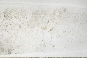 Plane Polarized, S67179